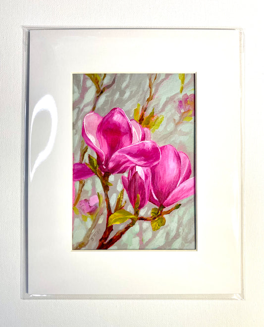 Lily Magnolia A Small Garden