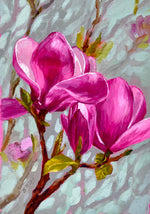 Lily Magnolia A Small Garden