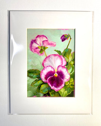 Raspberry Pansies A Small Garden