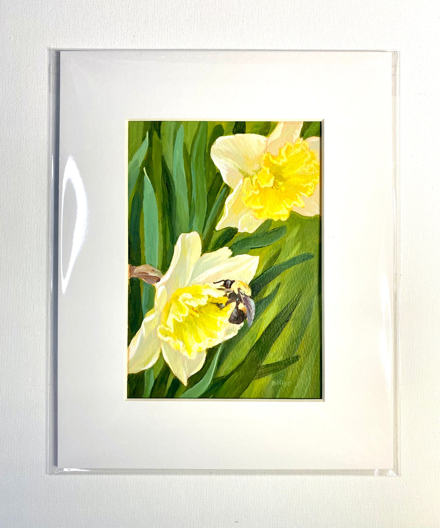 Busy Bee Daffodils A Small Garden