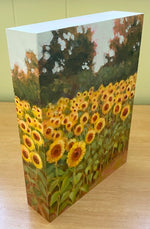 Dewberry Farm Sunflowers Floralscape