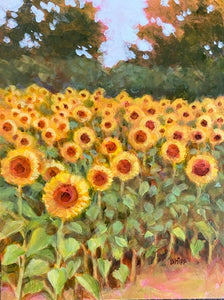 Dewberry Farm Sunflowers Floralscape