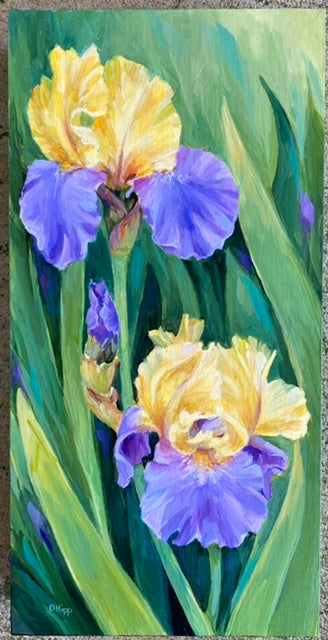 Doxie Post Irises