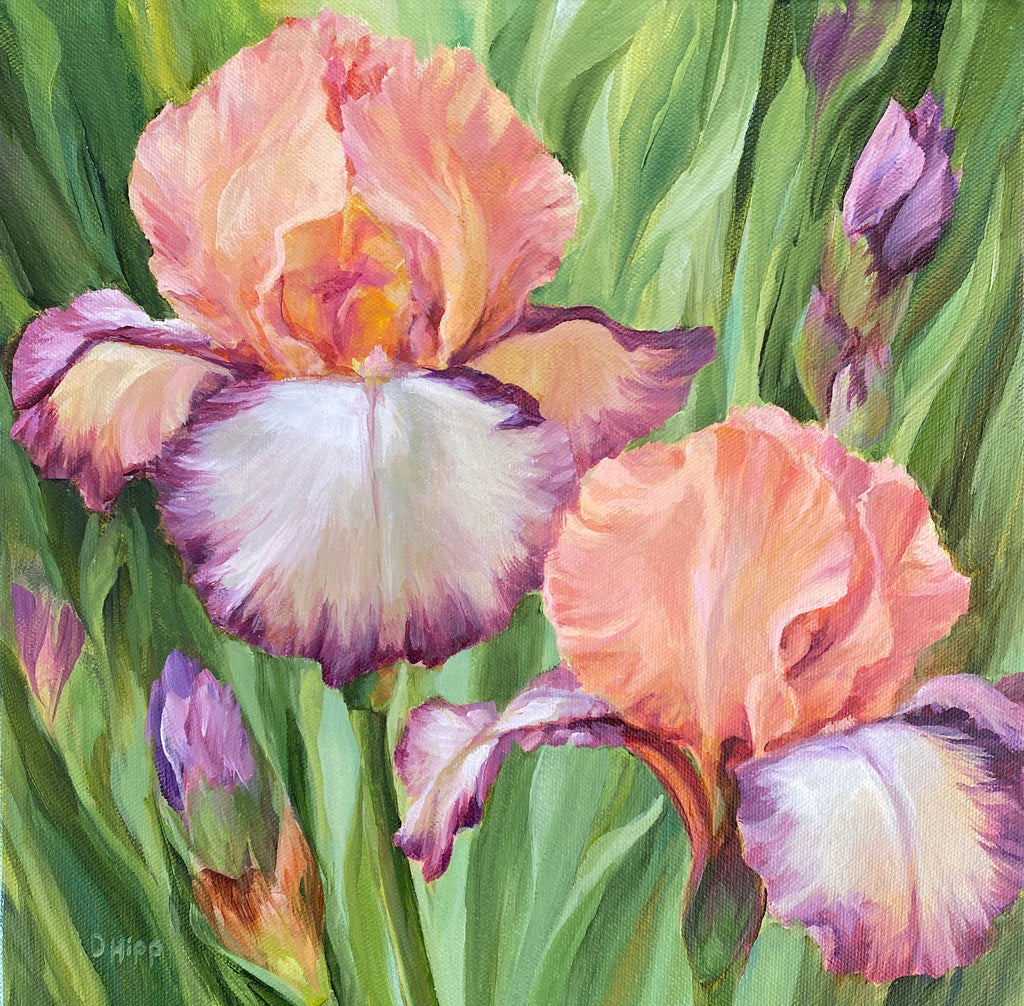 Peachy Purple Irises