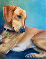 Pet Portrait Commission