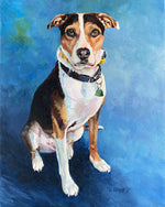 Pet Portrait Commission