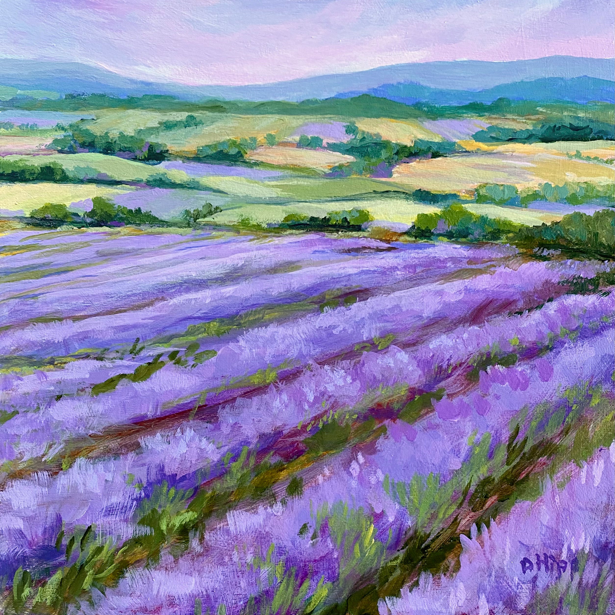 Lavender Field Floralscape